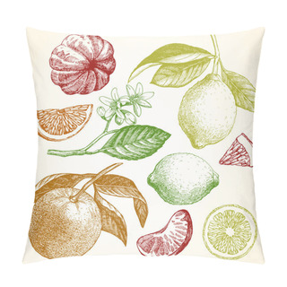 Personality  Colored Citrus Fruits Pillow Covers