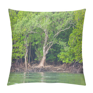 Personality  Mangrove Forest Pillow Covers