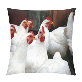 Personality  Chickens Pillow Covers