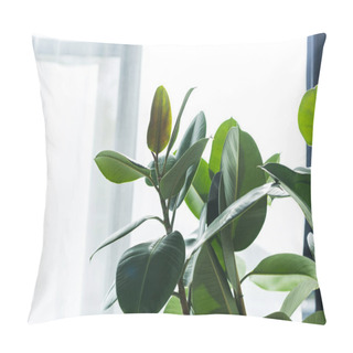 Personality  House Plant  Pillow Covers