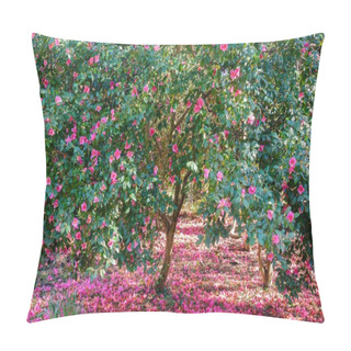 Personality  Blooming Camellia Trees With Pink Flowers Pillow Covers