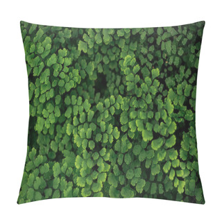 Personality  Top View Of Green Fresh Bright Textured Leaves On Branches Pillow Covers