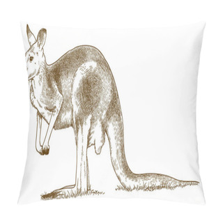 Personality  Engraving Illustration Of Grey Kangaroo Pillow Covers
