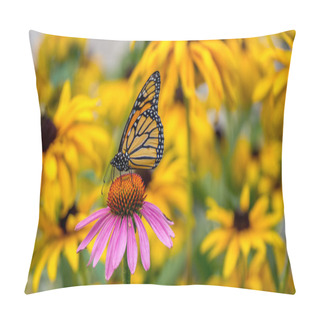 Personality  A Monarch Butterfly On A Purple Echinacea Cone Flower Pillow Covers