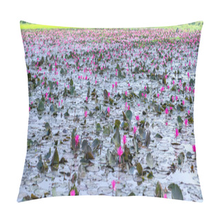 Personality  Fields Water Lilies Bloom Season In A Large Flooded Lagoon. Flowers Grow Naturally When The Flood Water Is High, Represent The Purity, Simplicity Pillow Covers