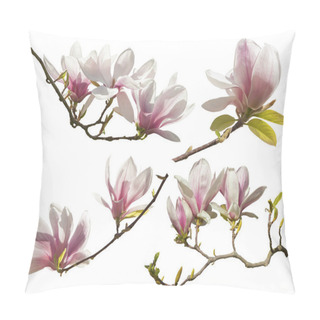 Personality  Magnolia Flowers On White Background Pillow Covers