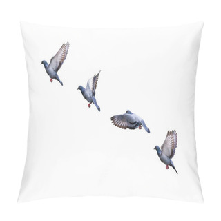Personality  Movement Scene Of Rock Pigeon Flying In The Air Isolated On White Background  Pillow Covers