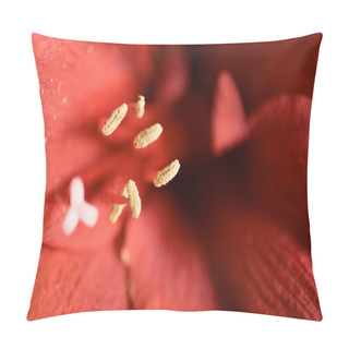 Personality  Macro View Of Red Amaryllis Flower Background Pillow Covers