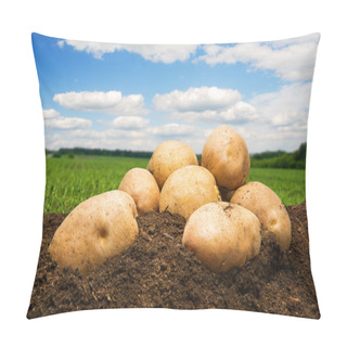 Personality  Potatoes On The Ground Under Sky Pillow Covers