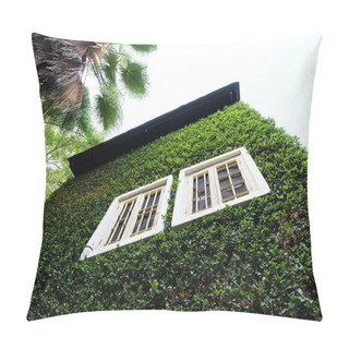 Personality  Wooden Window On The Green Wall Pillow Covers