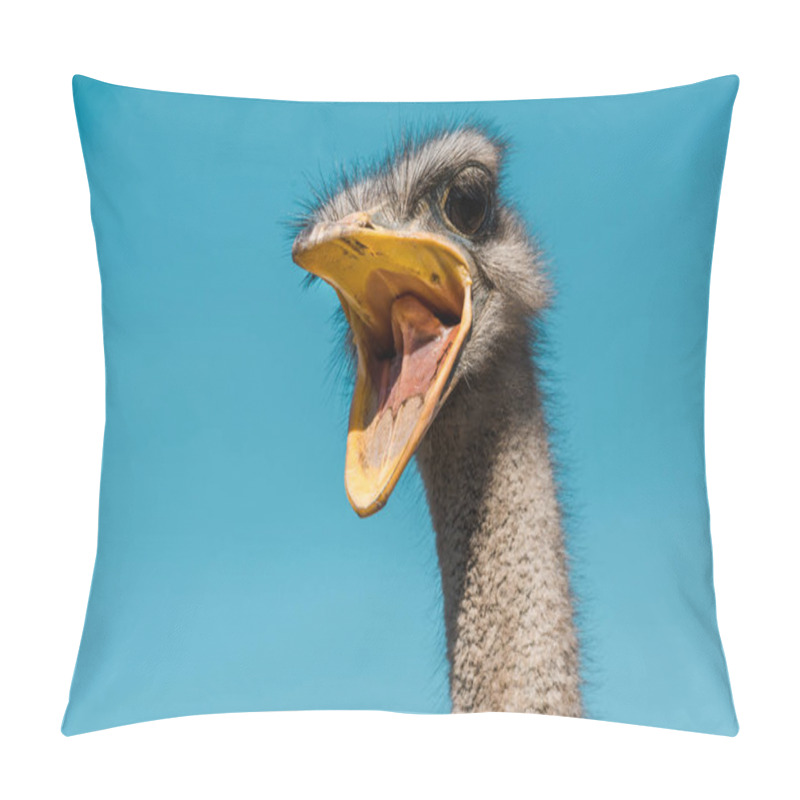 Personality  Beautiful Ostrich With Open Beak Against Blue Sky Pillow Covers