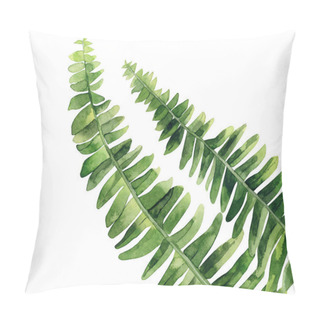Personality  Fern Stems. Nice Design For Creating, Greeting, Card, Invitation. Cute Plant Detail. Watercolour Illustration Isolated On White Background. Pillow Covers