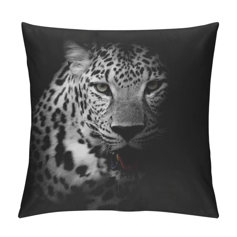 Personality  Close Up Leopard Portrait Pillow Covers