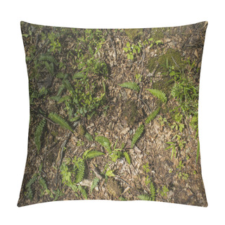 Personality  Forest Ground Pillow Covers