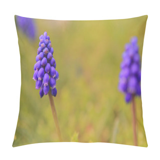 Personality  Beautiful Purple Wild Flowers Pillow Covers