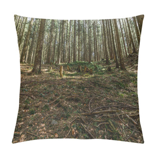 Personality  Wooden Branches On Meadow In Spruce Forest  Pillow Covers