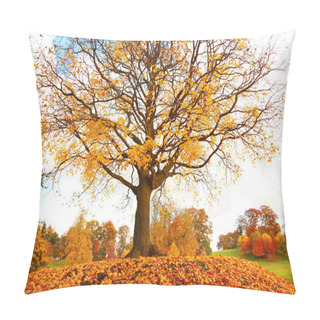 Personality  Beautiful, Autumnal Maple Tree On The Hill Pillow Covers