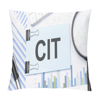 Personality  Top View Of Text Cit With Calculator, Magnifying Glass And Pen On Financial Charts . Business, Calculation, Strategy, Searching And Tax Concept. Top View. Pillow Covers