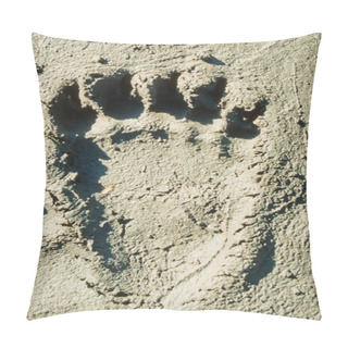 Personality  Grizzly Bear Track In Soft Mud. Pillow Covers