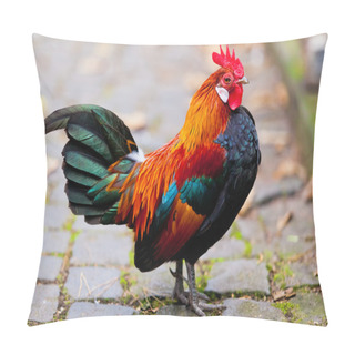 Personality  Beautiful Rooster. Pillow Covers