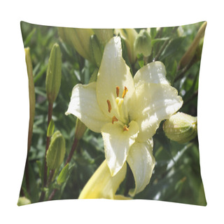 Personality  Lily Flowers In Garden After Rain. Pillow Covers