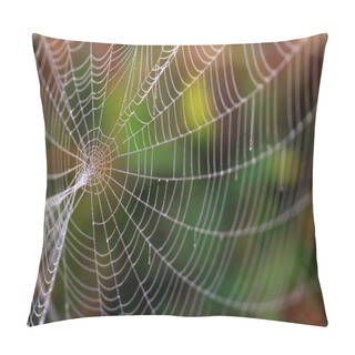 Personality  Spider Web Pillow Covers