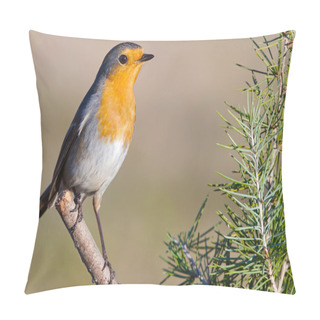 Personality  Beautiful Red Bird Pillow Covers