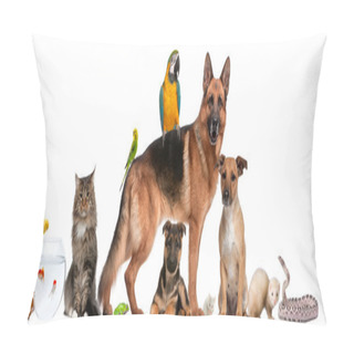 Personality  Group Of Pets Sitting In Front Of White Background Pillow Covers