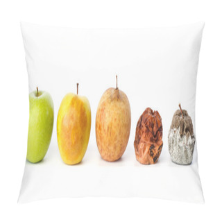 Personality  Five Apples In Various States Of Decay Pillow Covers