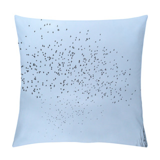 Personality  Flock Of Birds Pillow Covers