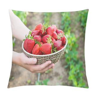 Personality  Strawberries. Pillow Covers