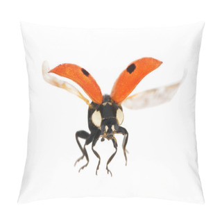 Personality  Isolated Flying Red Ladybug Pillow Covers