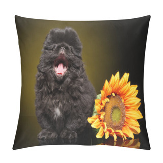 Personality  Pekingese Puppy Yawns Sitting Next To A Sunflower On A Dark Yellow Background. Animal Themes Pillow Covers