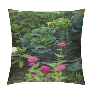 Personality  Close Up Background. Green Leaf Of Cabbage In The Backlight With Streaks And Holes Eaten By Insects. Pillow Covers