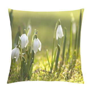 Personality  Snowdrop Flowers In Morning, Soft Focus, Perfect For Postcard Pillow Covers