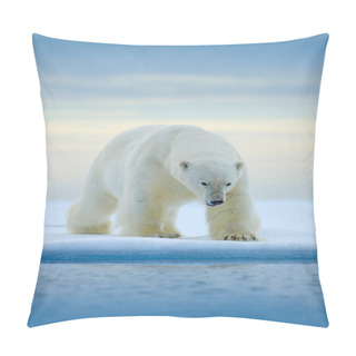 Personality  Polar Bear On Drift Ice Edge With Snow And Water In Norway Sea. White Animal In The Nature Habitat, Europe. Wildlife Scene From Nature. Dangerous Bear Walking On The Ice, Beautiful Evening Sky. Pillow Covers