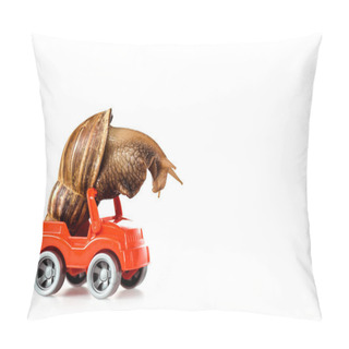 Personality  Slimy Brown Snail On Red Toy Car Isolated On White Pillow Covers