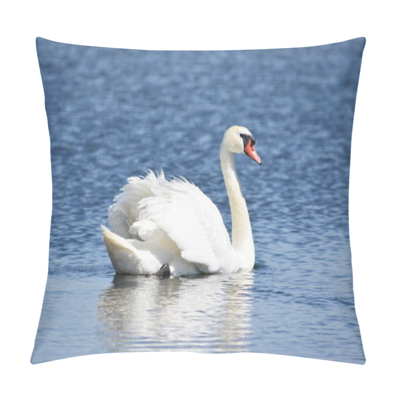 Personality  Beautiful White Mute Swan (Cygnus Olor) Swimming In Blue Water Pillow Covers