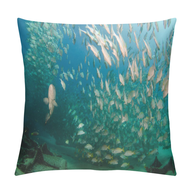 Personality  Schools Of Grunts And Snapper From The Sea Of Cortez Pillow Covers