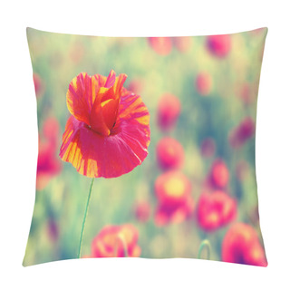 Personality  Field Of Beautiful Red Poppies Pillow Covers