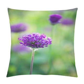 Personality  Purple Allium Flower  Pillow Covers