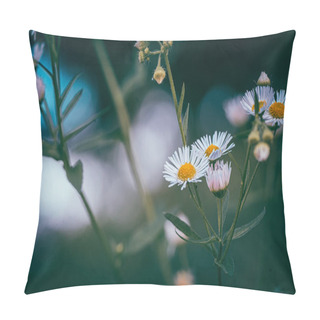 Personality  White Daisy Flower Cluster Is Blooming Along The Roadside On The Afternoon Pillow Covers