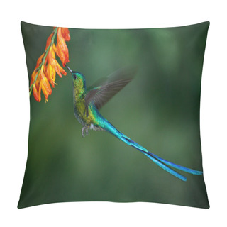 Personality  Hummingbird Long-tailed Sylph Pillow Covers