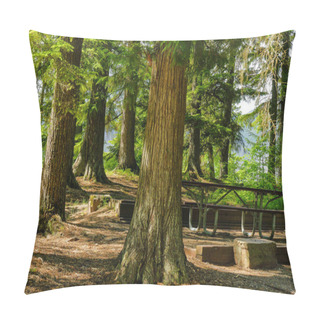 Personality  Sprague Creek Campground In Glacier National Park In Montana, United States Pillow Covers