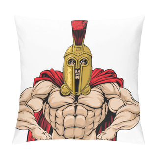 Personality  Spartan Soldier Illustration Pillow Covers