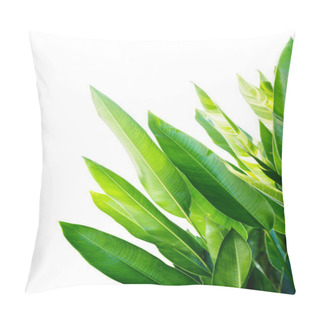 Personality  Tropical Leaf, Green Nature Isolated On White Background Pillow Covers