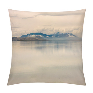 Personality  Antelope Island State Park Pillow Covers