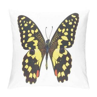 Personality  Yellow Dotted Colorful Butterfly Isolated On White Background Pillow Covers