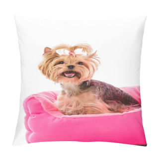 Personality  Yorkie Dog Sitting On Pink Bed Isolated On White Pillow Covers