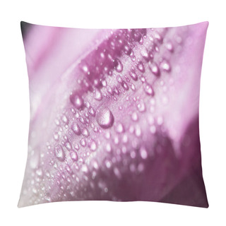 Personality  Close Up View Of Violet Tulip Petal With Water Drops Pillow Covers